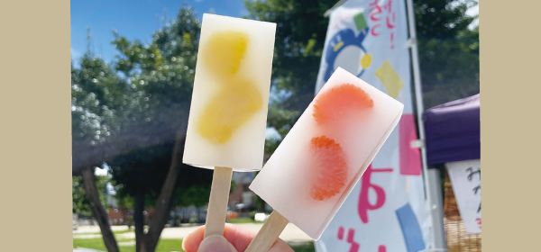 焼き菓子専門店　マミのお菓子